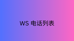 WS 电话列表
