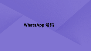WhatsApp 号码