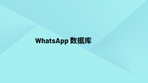 WhatsApp 数据库