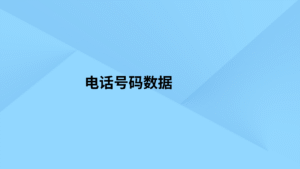 电话号码数据